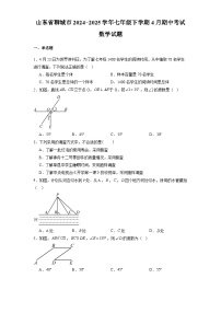 山东省聊城市2024-2025学年七年级下学期4月期中考试 数学试题（含解析）