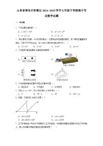 山东省青岛市即墨区2024-2025学年七年级下学期期中考试 数学试题（含解析）