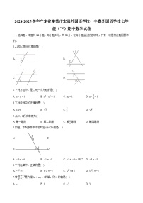 广东省东莞市宏远外国语学校、丰泰外国语学校2024-2025学年七年级下学期期中考试 数学试卷（含解析）