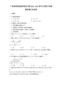广东省深圳实验学校初中部2024-2025学年七年级下学期 数学期中考试卷（含解析）