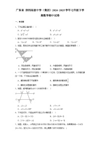 广东省深圳高级中学（集团）2024-2025学年七年级下学期 数学期中试卷（含解析）