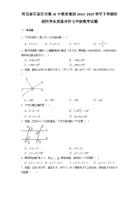 河北省石家庄市第41中教育集团2024-2025学年下学期阶段性学业质量评价七年级 数学试题（含解析）
