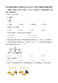 浙江省温州市瑞安市6校联考2024-2025学年七年级下学期期中考试 数学试卷