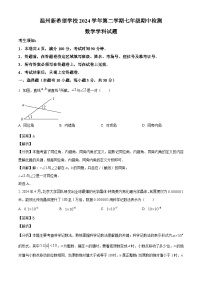 浙江省温州新希望学校2024-2025学年下学期七年级期中 数学试题（含解析）