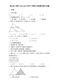 湖北省十堰市2024-2025学年下学期七年级 数学期中试题（含解析）