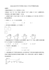 安徽省合肥市第四十五中学芙蓉分校2024-2025学年下学期九年级5月份月考 数学试卷