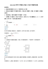 安徽省合肥市瑶海区众望初级中学2024-2025学年下学期九年级5月月考 数学试卷（含解析）