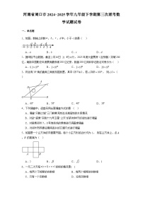 河南省周口市2024-2025学年九年级下学期第三次联考 数学试题试卷（含解析）