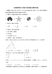 江苏省苏州市工业园区金鸡湖学校2024-2025学年5月阶段练习八年级 数学试卷（含解析）