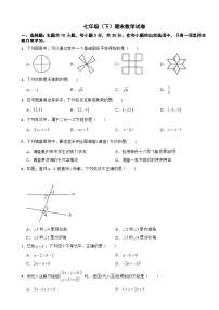 广东省惠州市2025年七年级（下）期末数学试卷及答案