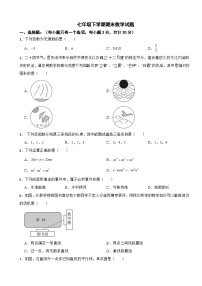 广东省深圳市2025年七年级下学期期末数学试题及答案