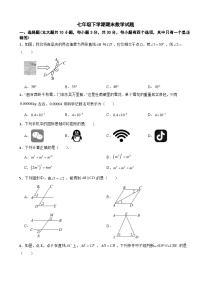广东省深圳市龙岗区2025年七年级下学期期末数学试题及答案