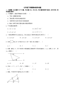 浙江省绍兴市2025年七年级下学期期末数学试卷及答案