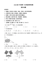 湖南省长沙市湖南师大附中教育集团2023-2024学年八年级下学期期中数学试题（原卷版）
