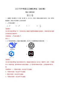数学（湖北卷）-2025年中考数学第三次模拟考试（考试卷+答题卷+解析+答案）