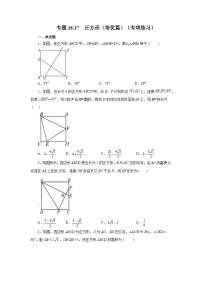 初中数学人教版（2024）八年级下册正方形综合训练题
