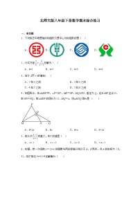 北师大版数学八年级下册  期末综合练习（含答案）