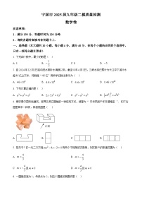 2025年安徽省宣城市宁国市中考二模数学试题（中考模拟）