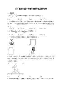 2025年河北省初中学业水平模拟考试数学试卷 （中考模拟）