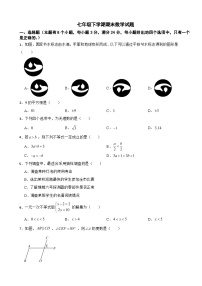 广东省广州市天河区2025年七年级下学期期末数学试题及答案