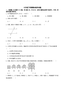 广东省汕尾市2025年七年级下学期期末数学试题及答案