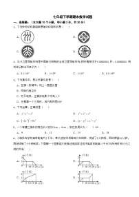 广东省深圳市2025年七年级下学期期末数学试题及答案