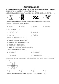 广东省深圳市南山区2025年七年级下学期期末数学试题及答案
