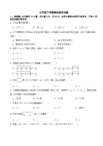 广东省湛江市2025年七年级下学期期末数学试题及答案