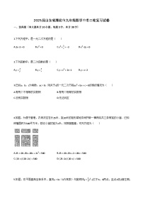 2025届山东省潍坊市九年级数学中考二轮复习试卷（含解析）