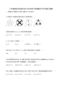 广东省汕尾市重点校2024-2025学年九年级数学中考二轮复习试卷（含解析）