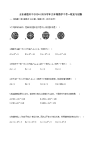 山东省德州市2024-2025学年九年级数学中考一轮复习试卷（含解析）