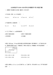 山东省临沂市2024-2025学年九年级数学中考二轮复习卷（含解析）