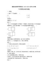 湖南省邵阳市新邵县2023-2024学年七年级下学期期末数学试卷（解析版）