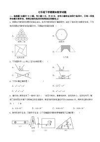 广东省深圳市罗湖区2025年七年级下学期期末数学试题及答案