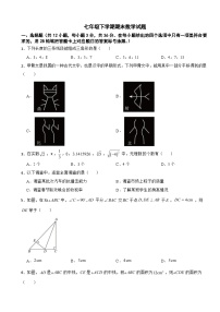 广西壮族自治区南宁市2025年七年级下学期期末数学试题及答案