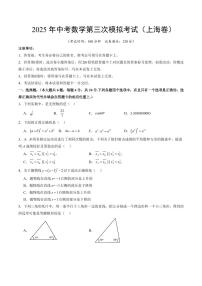 2025年中考数学第三次模拟考试数学(上海卷)