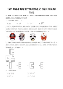 2025年中考数学第三次模拟考试数学(湖北武汉卷)