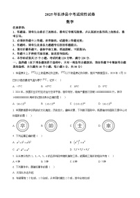 2025年湖南省长沙市长沙县中考一模数学试题（中考模拟）