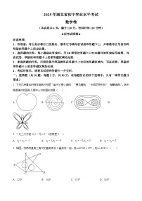 2025年湖北省武汉市武汉经开外国语学校初中学业水平考试数学试题 （中考模拟）