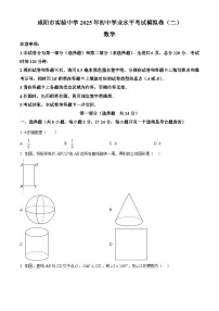 2025年陕西省咸阳市实验中学中考第二次模拟考试数学试题（中考模拟）