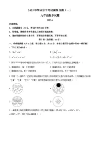 2025年山东省潍坊安丘市中考一模数学试题（中考模拟）