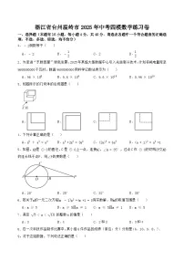 2025年浙江省台州温岭市中考四模数学练习卷（中考模拟）