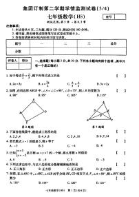 河南新乡2024-2025七年级下册数学第二次月考试卷+答案