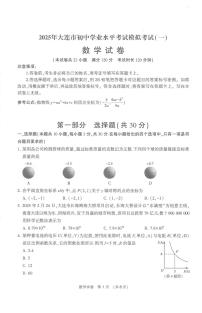 辽宁省大连市2025年九年级数学初中学业水平考试第一次模拟考试
