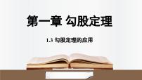 北师大版（2024）八年级上册（2024）3 勾股定理的应用图片ppt课件