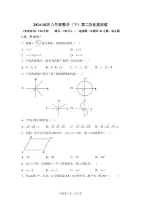 广东省惠州市惠阳区2024-2025学年八年级下学期5月期中数学试题（含答案）