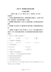 广西玉林地区2024-2025学年八年级下学期期中检测数学试题（含答案）