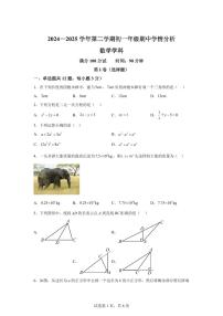河北省石家庄2024-2025学年下学期八年级期中数学试卷（含答案）