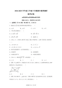 湖北省武汉市2024-2025学年八年级下学期期中考试数学试卷（含答案）