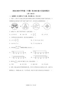四川省成都市2024-2025学年八年级下学期5月月考数学试题（含答案）